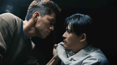 国产性虐,揭秘国产影视作品中的独特魅力与争议